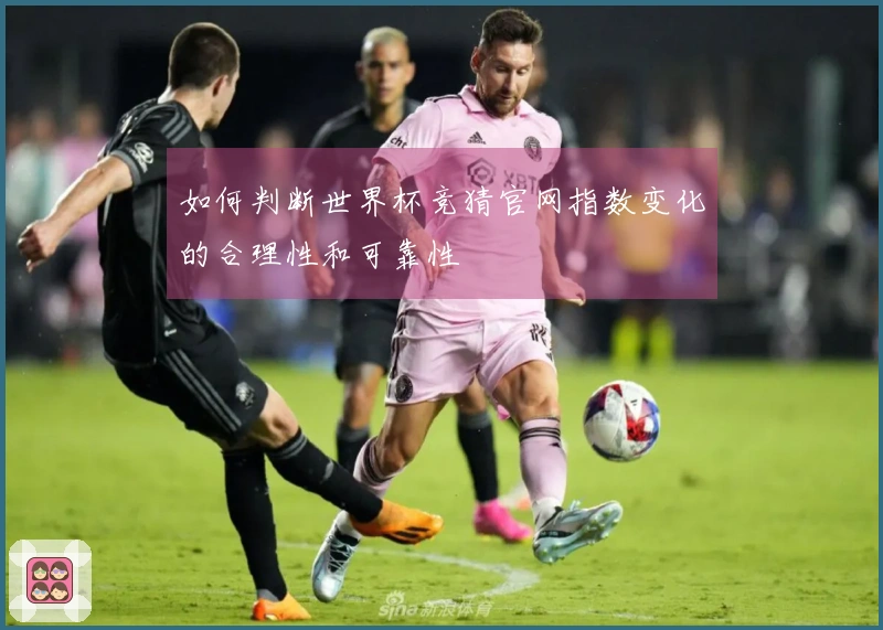 如何判断世界杯竞猜官网指数变化的合理性和可靠性