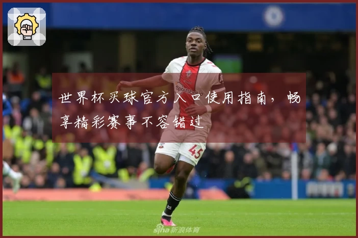 世界杯买球官方入口使用指南，畅享精彩赛事不容错过