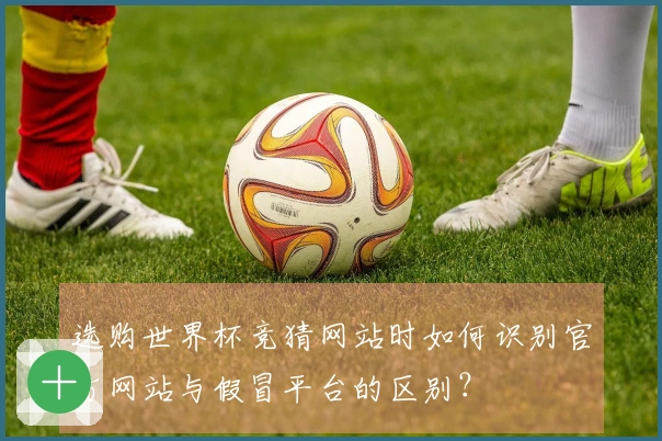 选购世界杯竞猜网站时如何识别官方网站与假冒平台的区别?