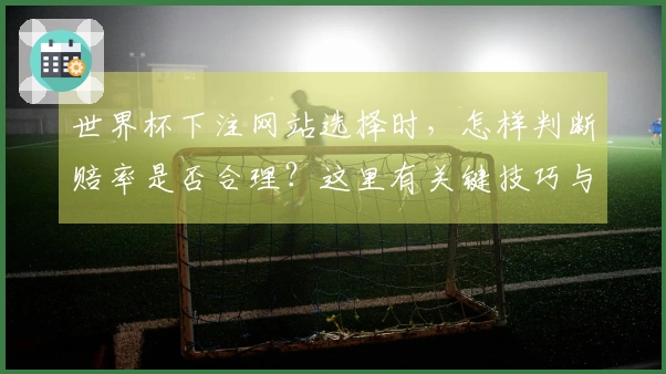 世界杯下注网站选择时，怎样判断赔率是否合理？这里有关键技巧与实战案例分析