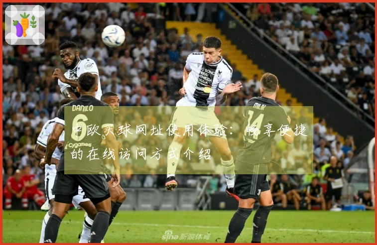 中欧买球网址使用体验：畅享便捷的在线访问方式介绍