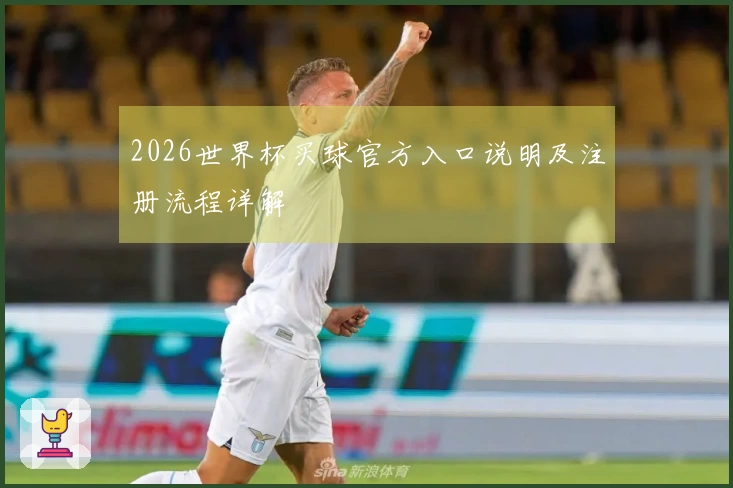 2026世界杯买球官方入口说明及注册流程详解