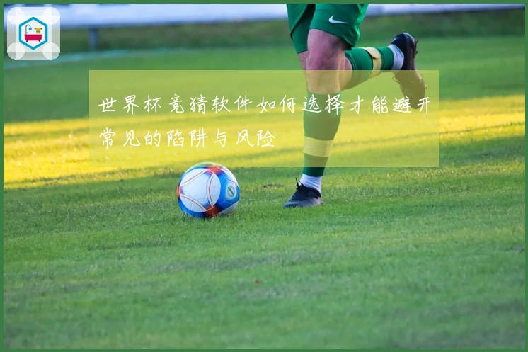 世界杯竞猜软件如何选择才能避开常见的陷阱与风险