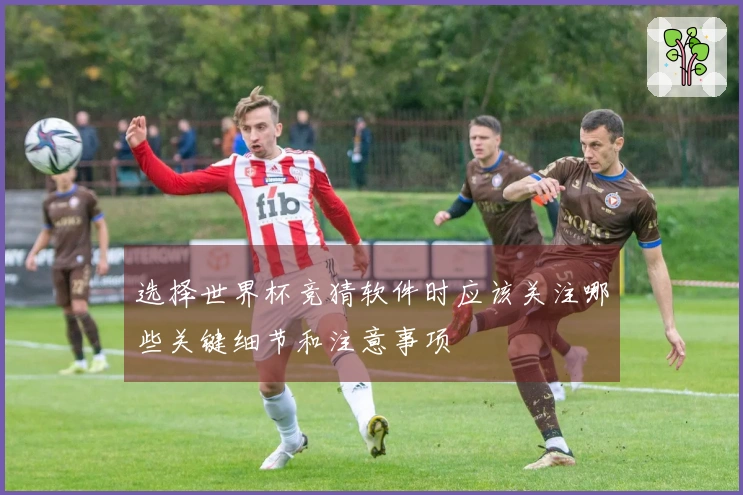 选择世界杯竞猜软件时应该关注哪些关键细节和注意事项