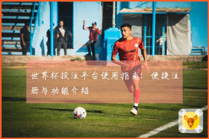 世界杯投注平台使用指南：便捷注册与功能介绍