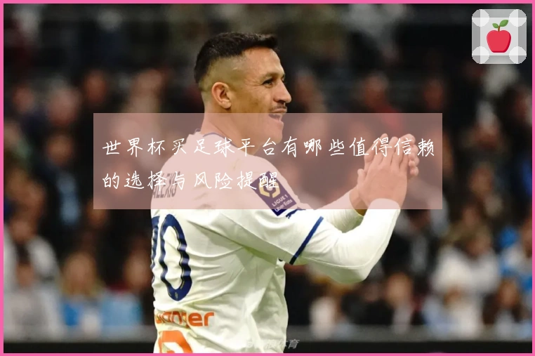 世界杯买足球平台有哪些值得信赖的选择与风险提醒