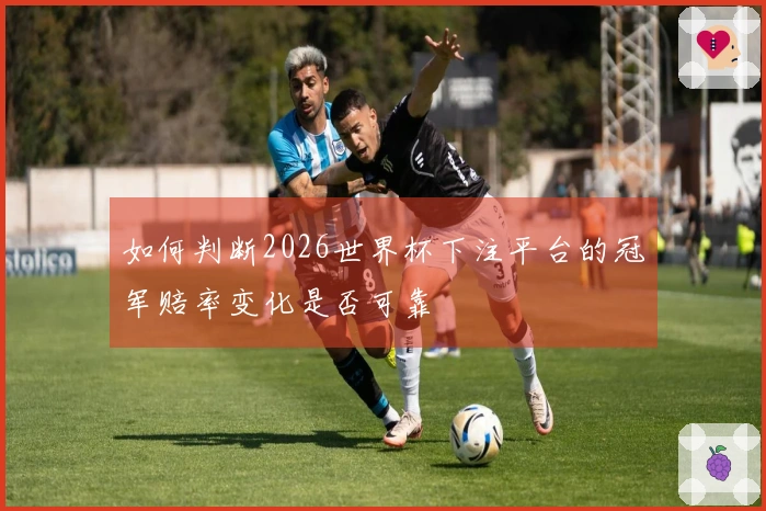 如何判断2026世界杯下注平台的冠军赔率变化是否可靠