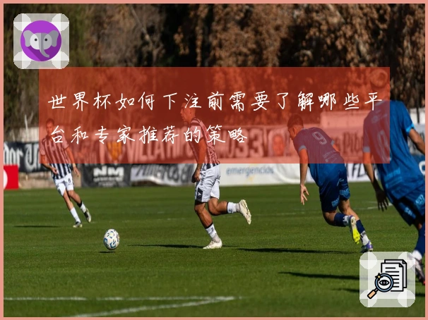 世界杯如何下注前需要了解哪些平台和专家推荐的策略