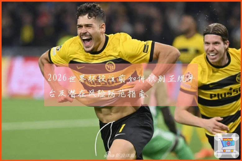 2026世界杯投注前如何识别正规平台及潜在风险防范指南