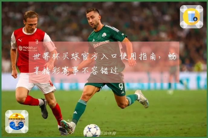 世界杯买球官方入口使用指南，畅享精彩赛事不容错过