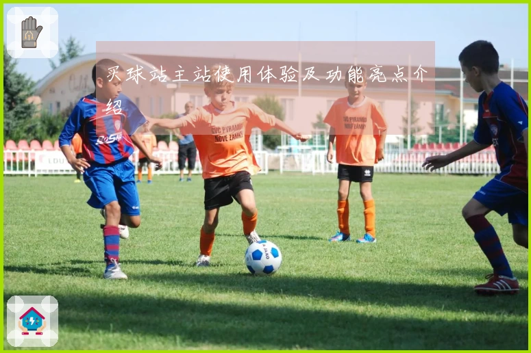 买球站主站使用体验及功能亮点介绍