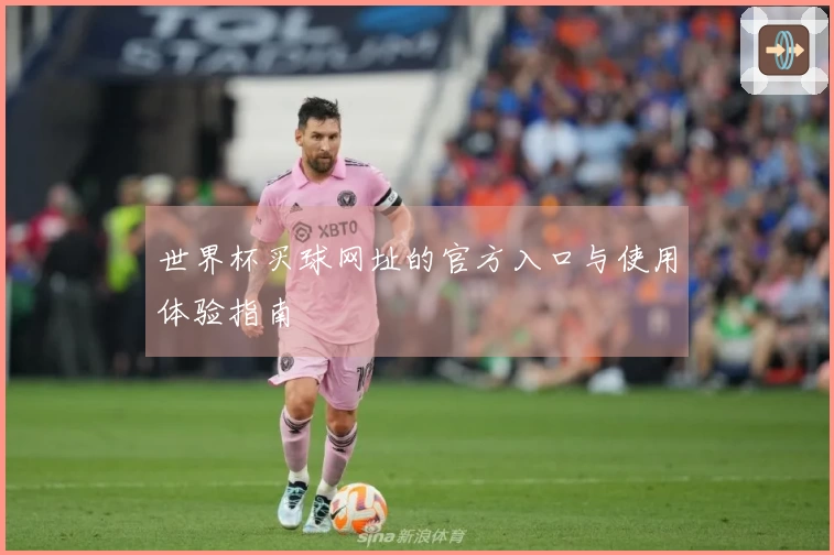 世界杯买球网址的官方入口与使用体验指南