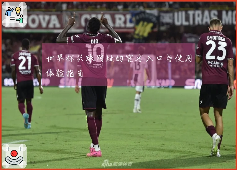 世界杯买球网址的官方入口与使用体验指南