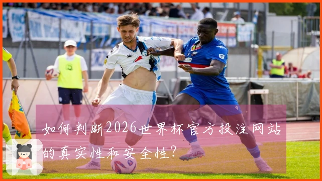 如何判断2026世界杯官方投注网站的真实性和安全性?
