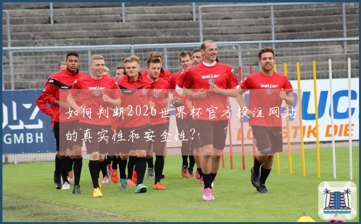 如何判断2026世界杯官方投注网站的真实性和安全性？