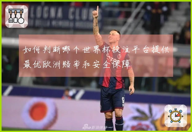 如何判断哪个世界杯投注平台提供最优欧洲赔率和安全保障