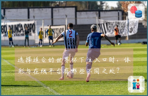 选择适合的世界杯下注入口时，体彩与在线平台有哪些不同之处？
