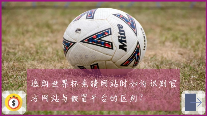 选购世界杯竞猜网站时如何识别官方网站与假冒平台的区别？