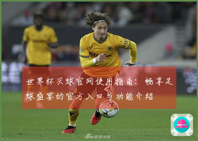 世界杯买球官网使用指南：畅享足球盛宴的官方入口与功能介绍
