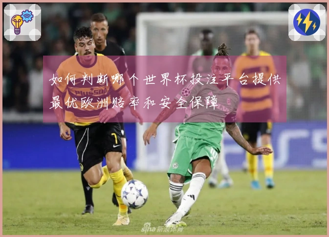 如何判断哪个世界杯投注平台提供最优欧洲赔率和安全保障