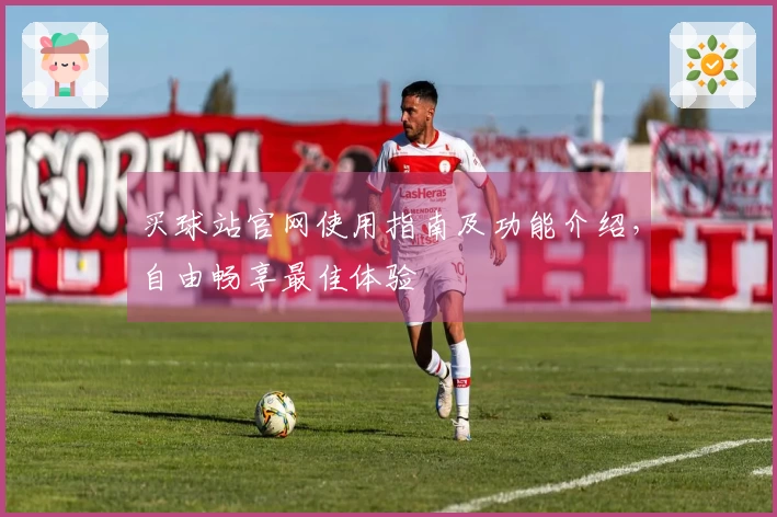 买球站官网使用指南及功能介绍，自由畅享最佳体验