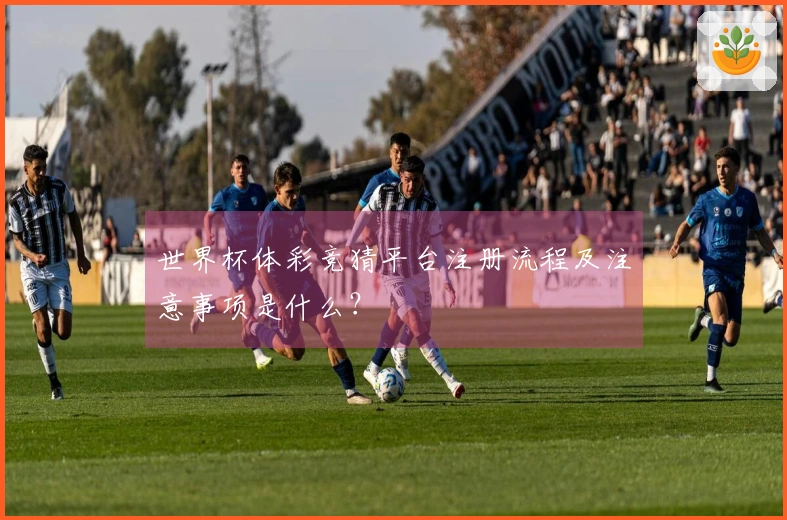 世界杯体彩竞猜平台注册流程及注意事项是什么？